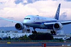 負けるなコロナ✈Dreamliner