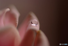 愛を込めて雫を