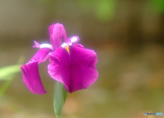 永遠の時・第4章