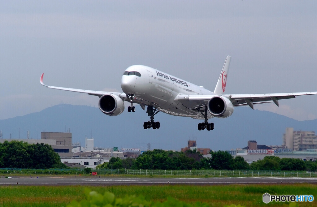 Good Afternoon✈A350