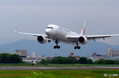 Good Afternoon✈A350
