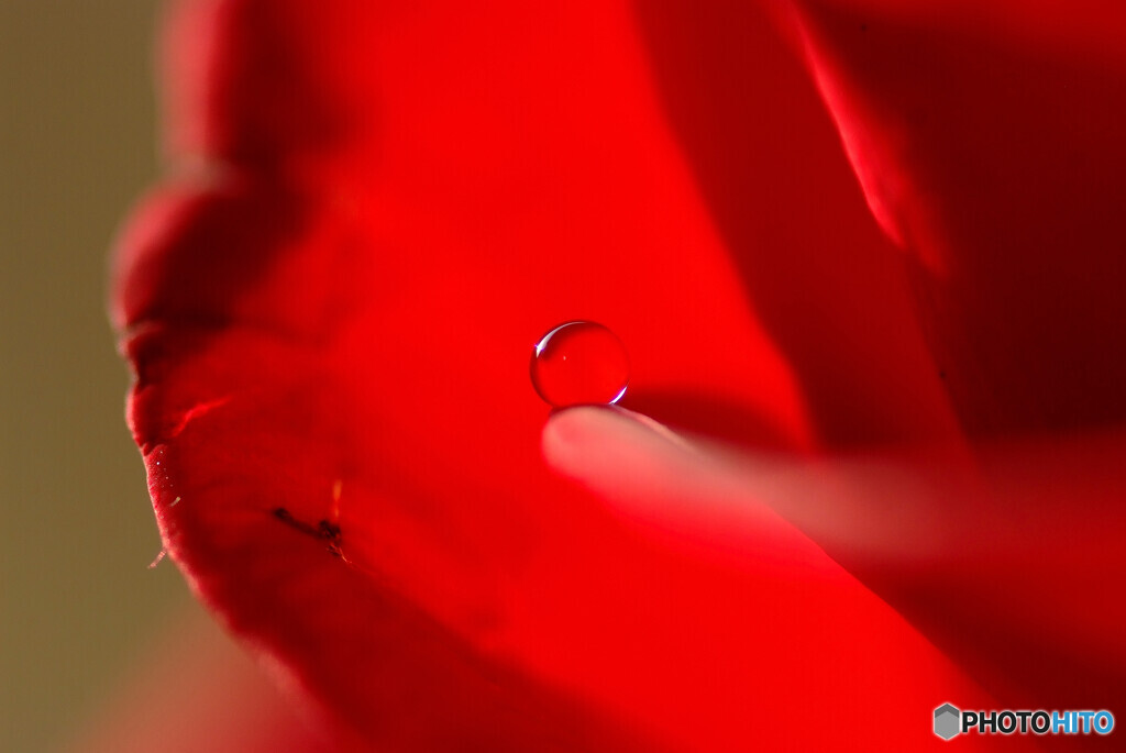 癒しの時間✾ひとみ