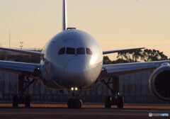 Morning FaceⅢ・HARADA