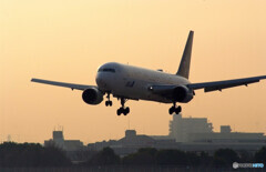 ３月の朝✈STAR ALLIANCE