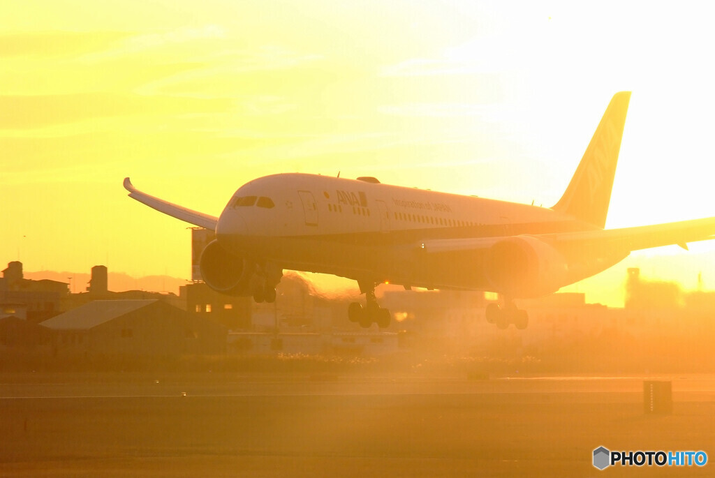 Good Morning Call✈Dreamliner 