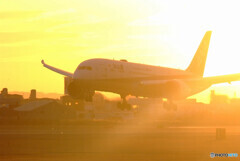 Good Morning Call✈Dreamliner 