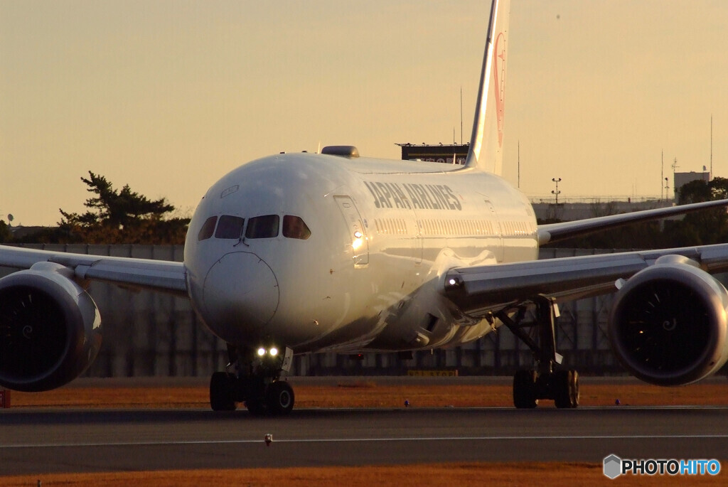 戦士の休息✈Boeing 787-8 Dreamliner 
