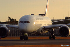 戦士の休息✈Boeing 787-8 Dreamliner 