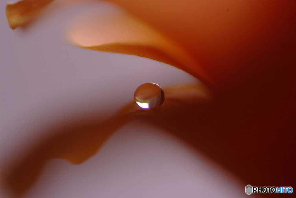 秘密の花園・雫