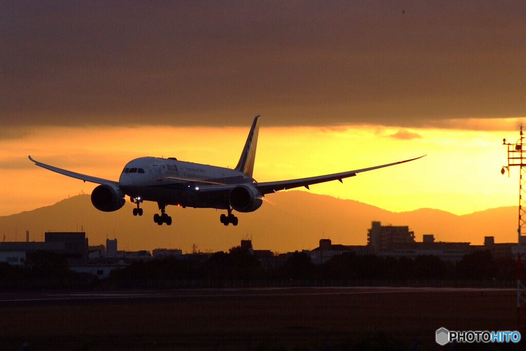 朝焼けに飛ぶ✈787-8 Dreamliner