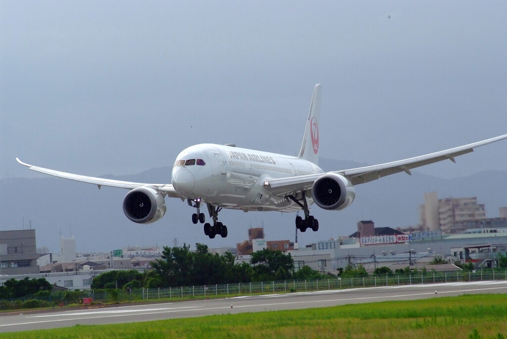 いい日旅立ち2025夏✈Boeing787-8