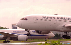 Father's Day Flight★787