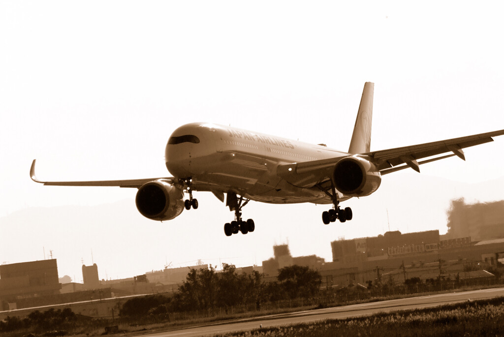 Glorious morning★A350-900