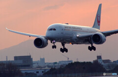 2021飛翔✈787Dreamliner