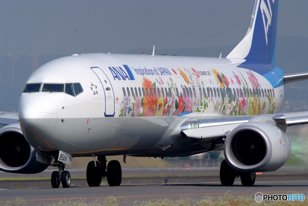 俺の空へⅤ・737