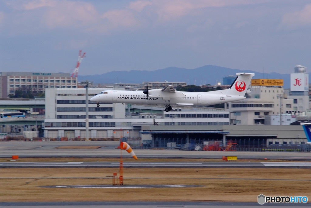 美しき貴婦人・JAL
