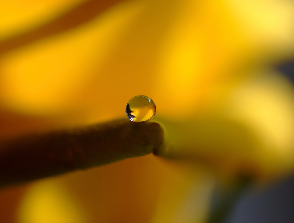 如月の惑星・雫（Ⅷ）