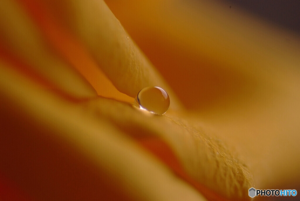 For you✿癒しの瞳