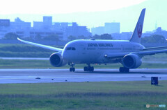 旅立ちの朝✈Dreamliner 