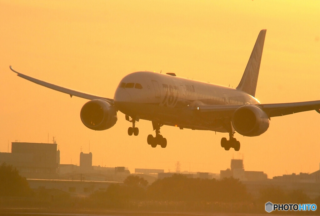 Shining Star★飛翔