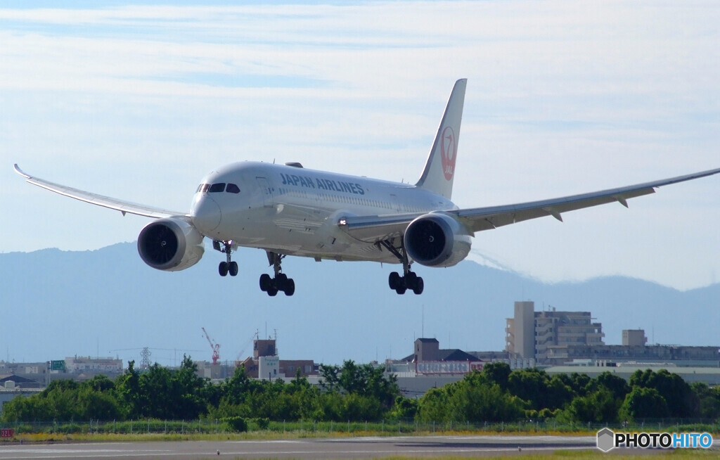 6月のHARADA✈Boeing787