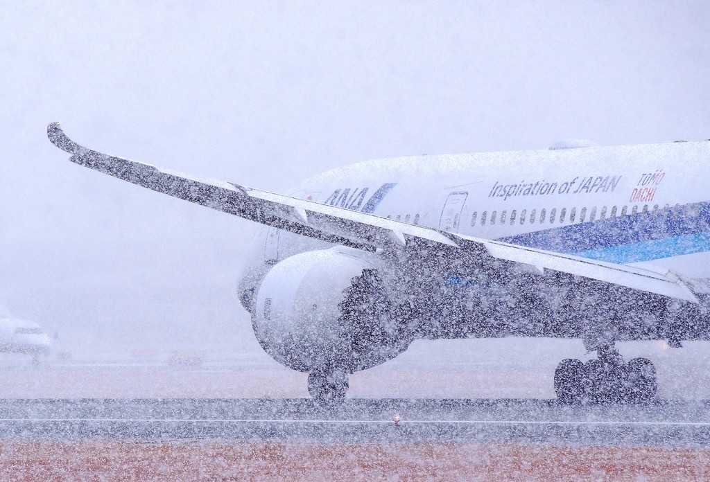 さらば！Boeing 787-9