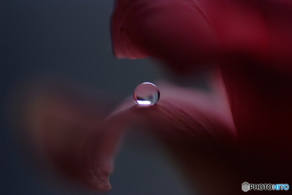 やすらぎの時✿瞳