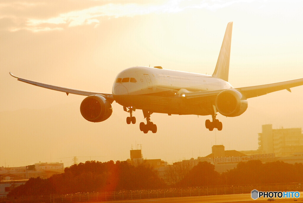 Morning Power✈Boeing 787-8
