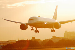 Morning Power✈Boeing 787-8