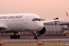 桜月の翼✈JA14XJ