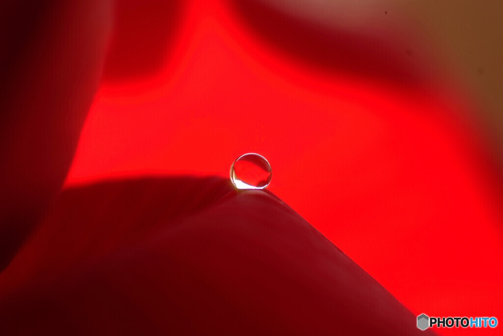 With Nature✾輝く瞳