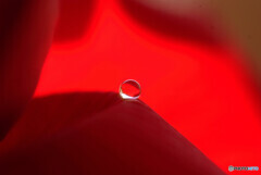 With Nature✾輝く瞳