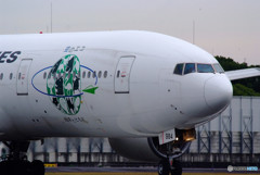 Starting line・8984