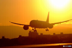 December 23rd✈HARADAの朝