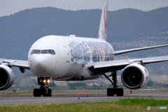 Morning Bird・JA8979