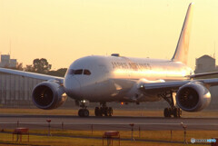 Reward to yourself✈Dreamliner