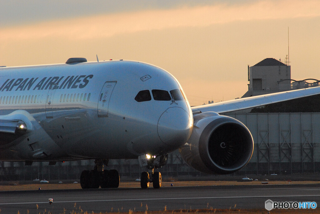 Morning of the 24th✈Dreamliner 