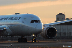 Morning of the 24th✈Dreamliner 