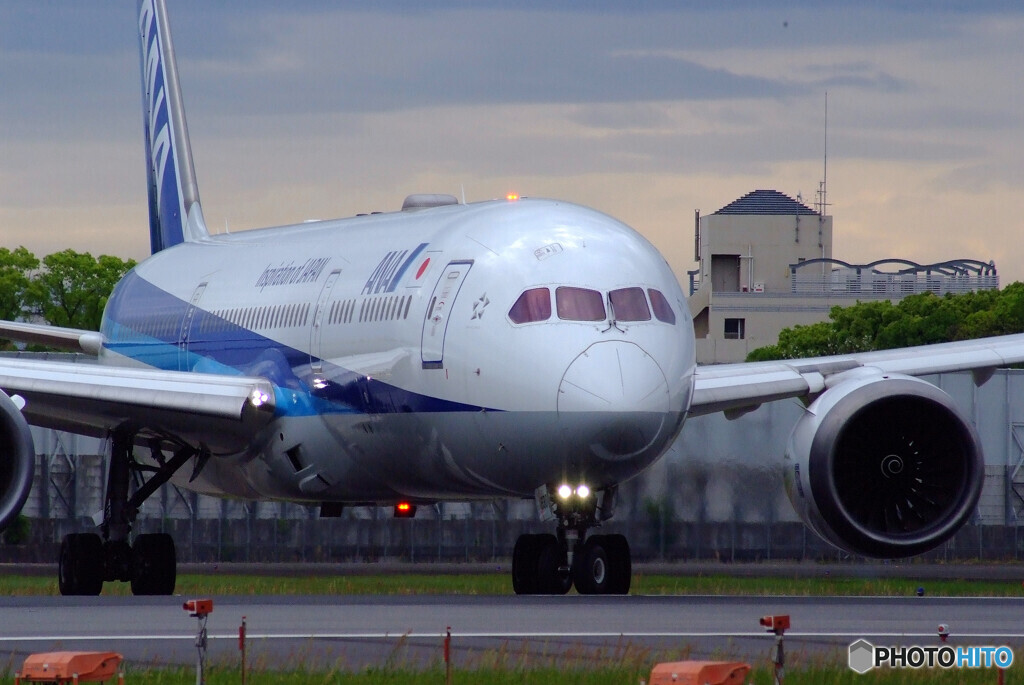 Delusional trip　GW✈Boeing787-9