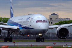 Delusional trip　GW✈Boeing787-9