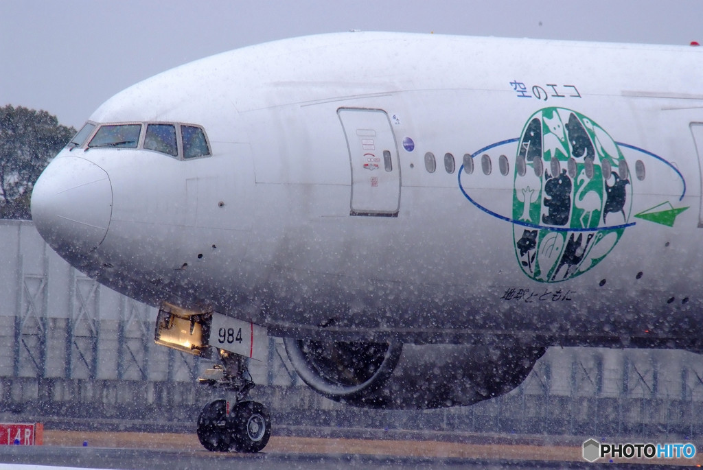 Lady of the Snow・ECO