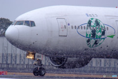 Lady of the Snow・ECO