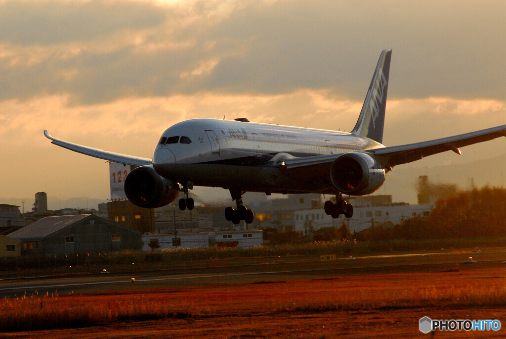 Morning of the 24thⅢ✈787-8Dreamliner 