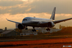 Morning of the 24thⅢ✈787-8Dreamliner 