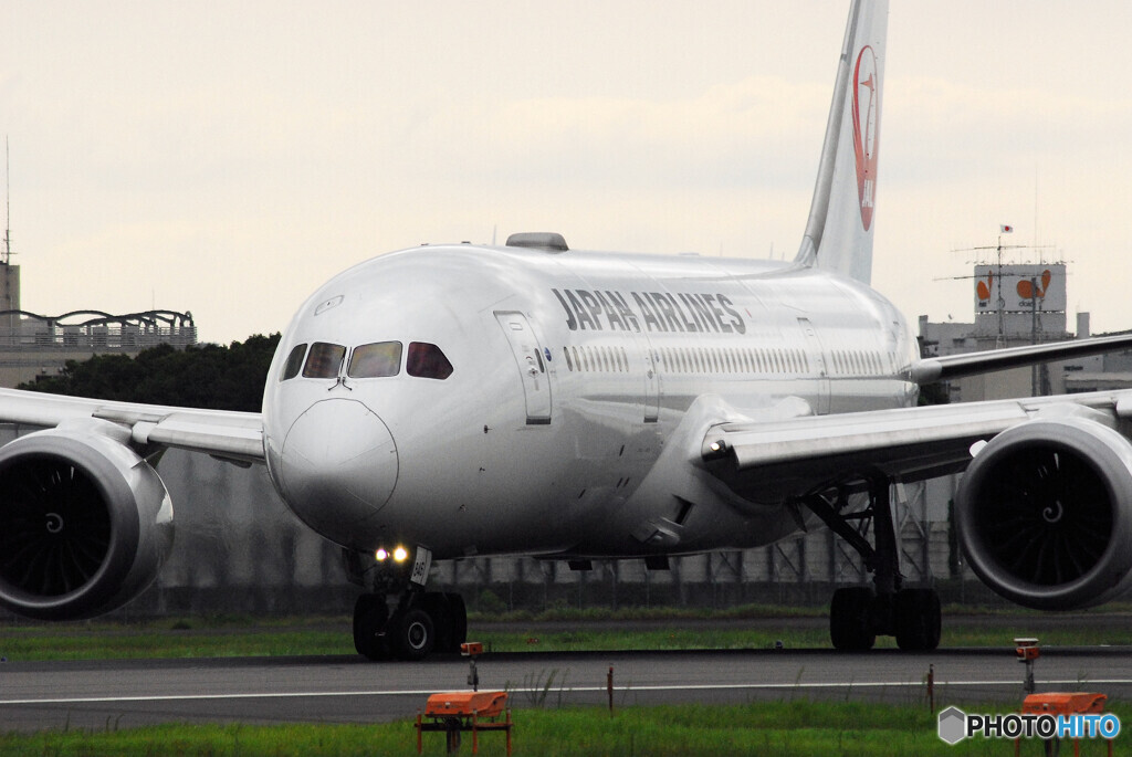 HARADAの夏Ⅲ✈Boeing 787-８