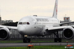 HARADAの夏Ⅲ✈Boeing 787-８