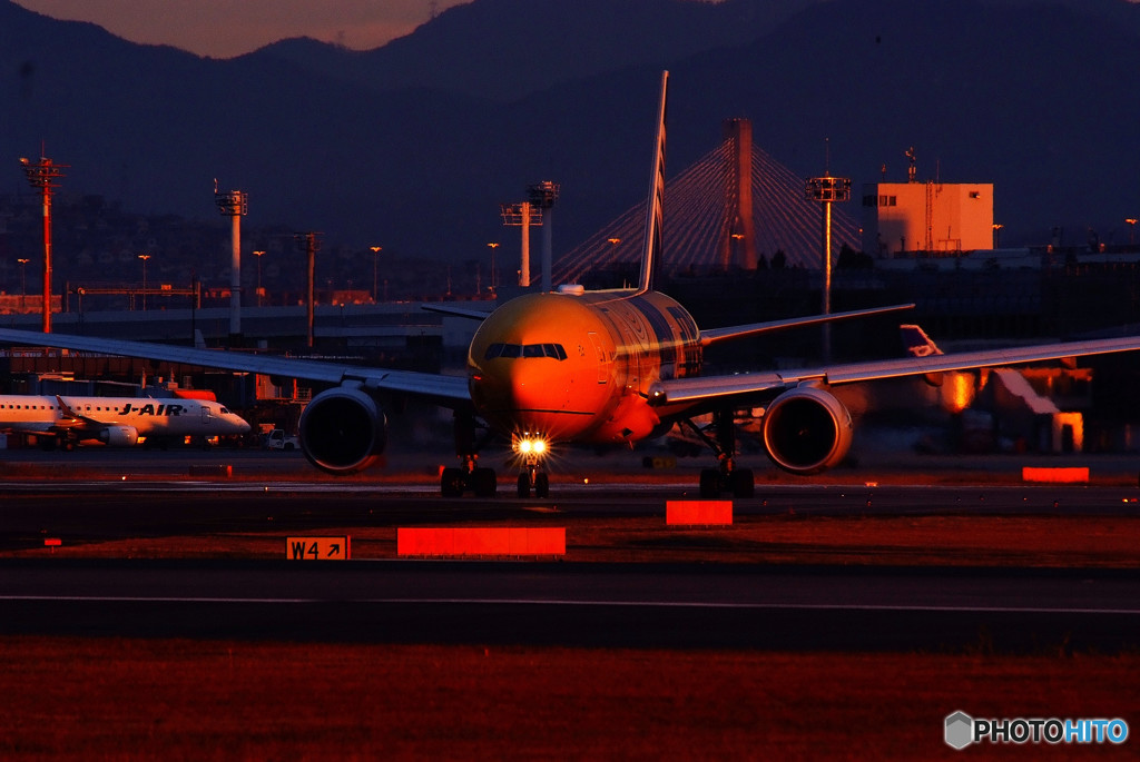 Golden Time ・沢庵Jet