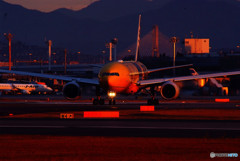 Golden Time ・沢庵Jet