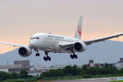 祝月の翼✈Boeing787-8