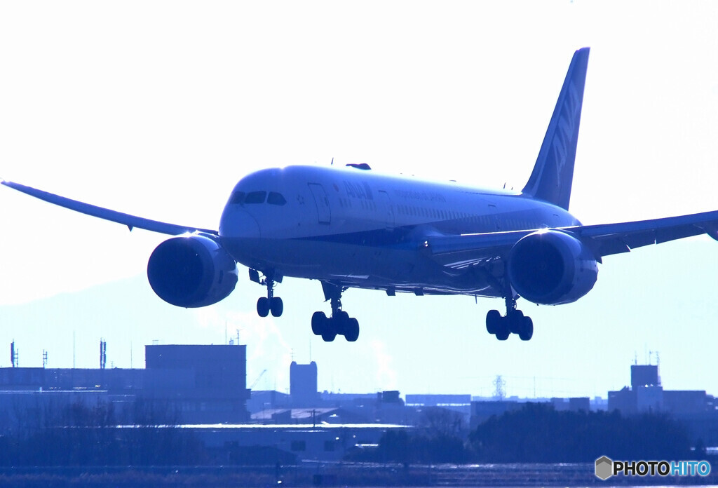 My ColorⅢ✈787Dreamliner